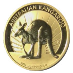 AUSTRALIAN KANGAROO